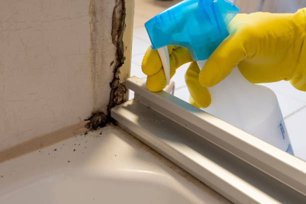 Best Residential Mold Inspection & Testing  in Bristol, WI