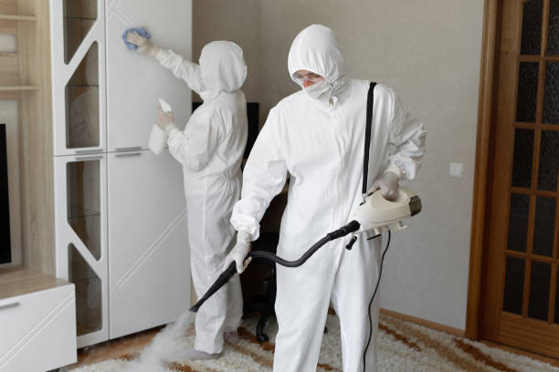 Best Mold Damage Restoration  in Bristol, WI